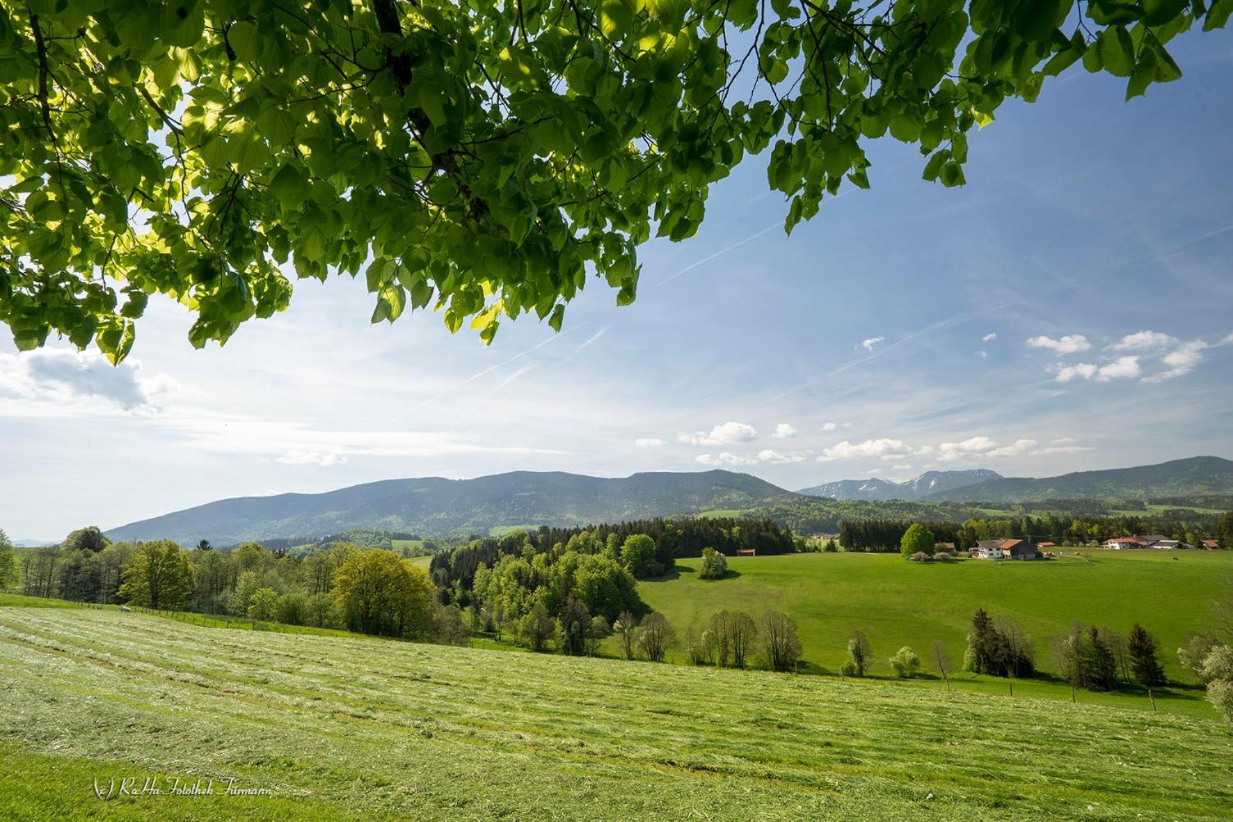 Monteurzimmer Am Teisenberg Neukirchen am Teisenberg Exterior photo